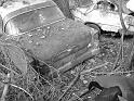 Autofriedhof - 097